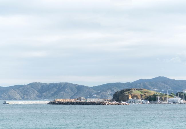 Apartment in Llança - WELCS APARTAMENTO 325 EMP con terraza a pasos del 